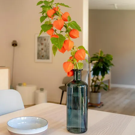 Apartamento Dein Zuhause In Der Ferne - Der Gute Ton