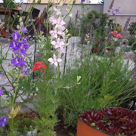 Dein Zuhause In Der Ferne Im Gruenen Kreativhof 