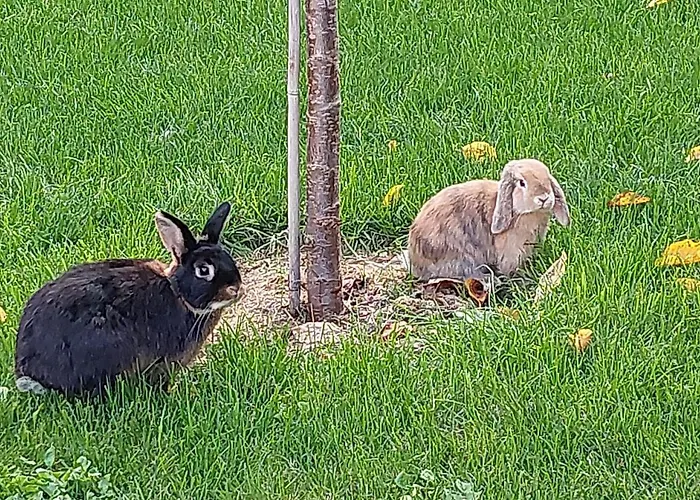 Апартаменты Dein Zuhause In Der Ferne Im Gruenen Kreativhof 