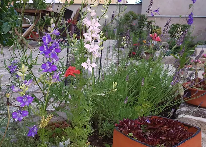 Dein Zuhause In Der Ferne Im Gruenen Kreativhof 